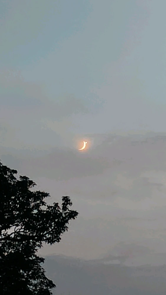 Image uploaded by Sarvajeet