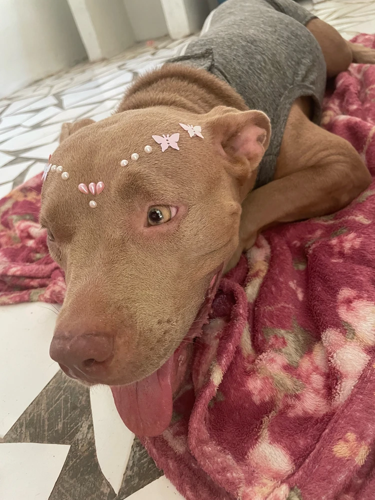 GIF uploaded by Eliza