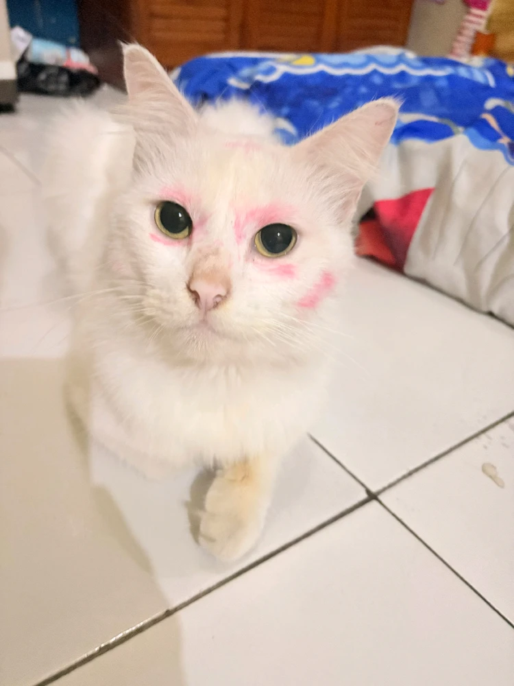 GIF uploaded by Herlina