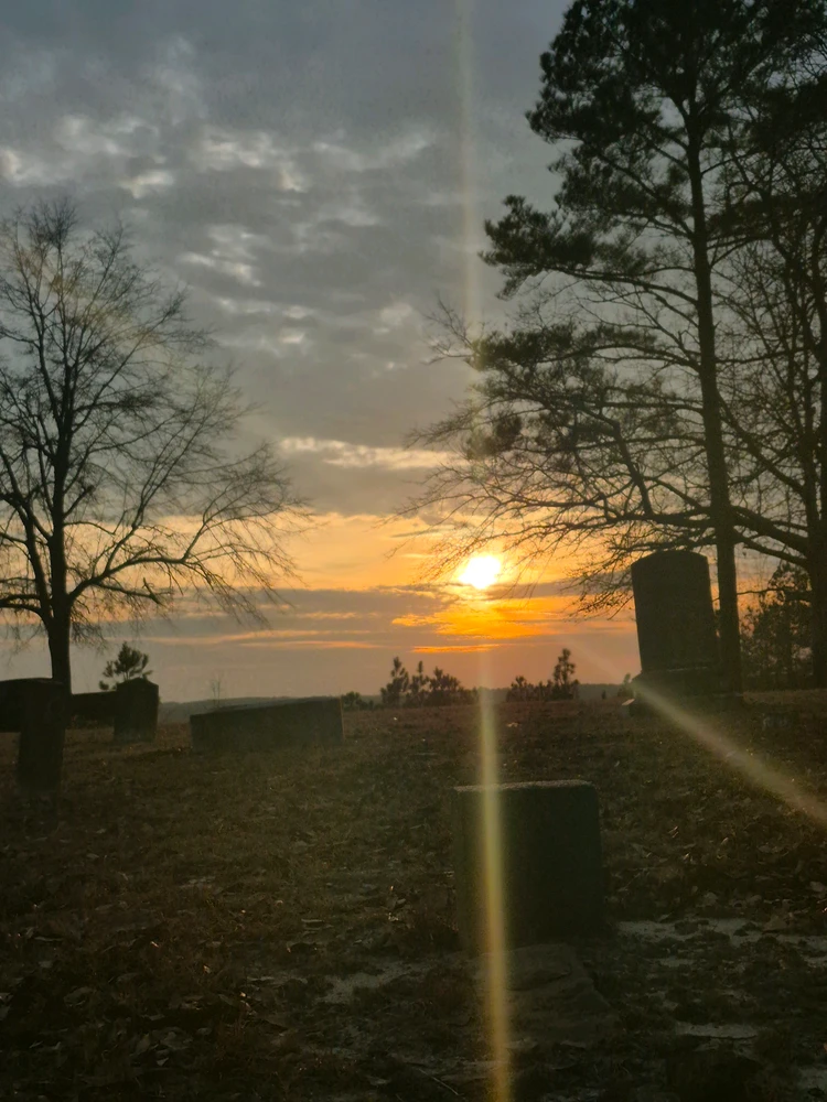 Image uploaded by Salliee