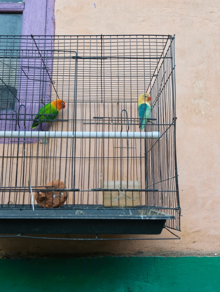 Image uploaded by Hendy