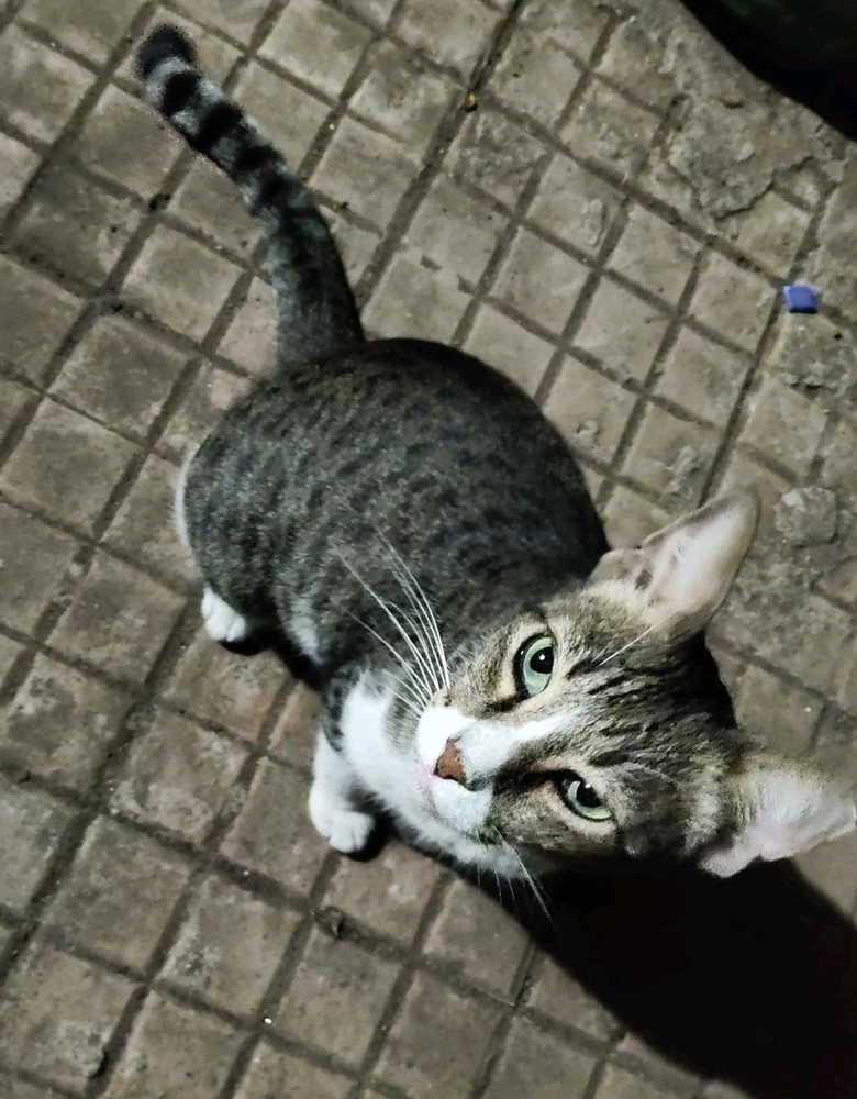Image uploaded by Arya