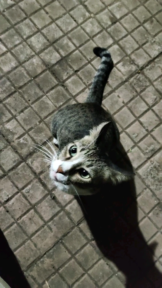 Image uploaded by Arya
