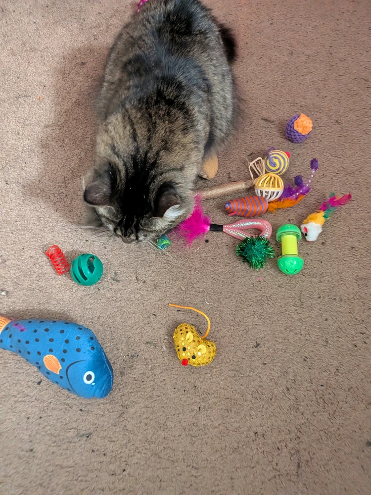 Image uploaded by Griffeaux