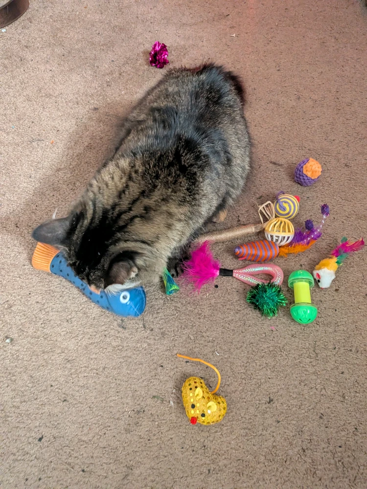 Image uploaded by Griffeaux