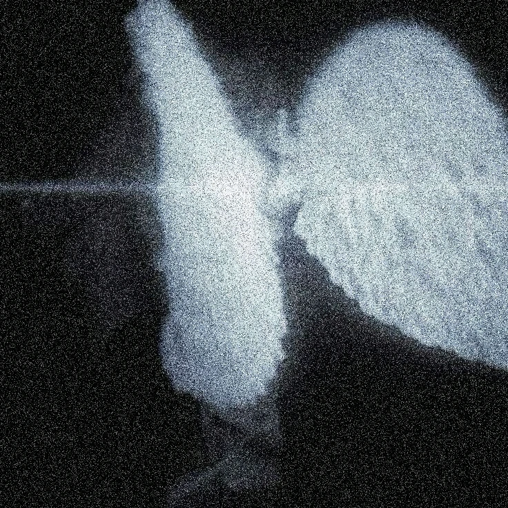 Priscilla S 上傳的 GIF