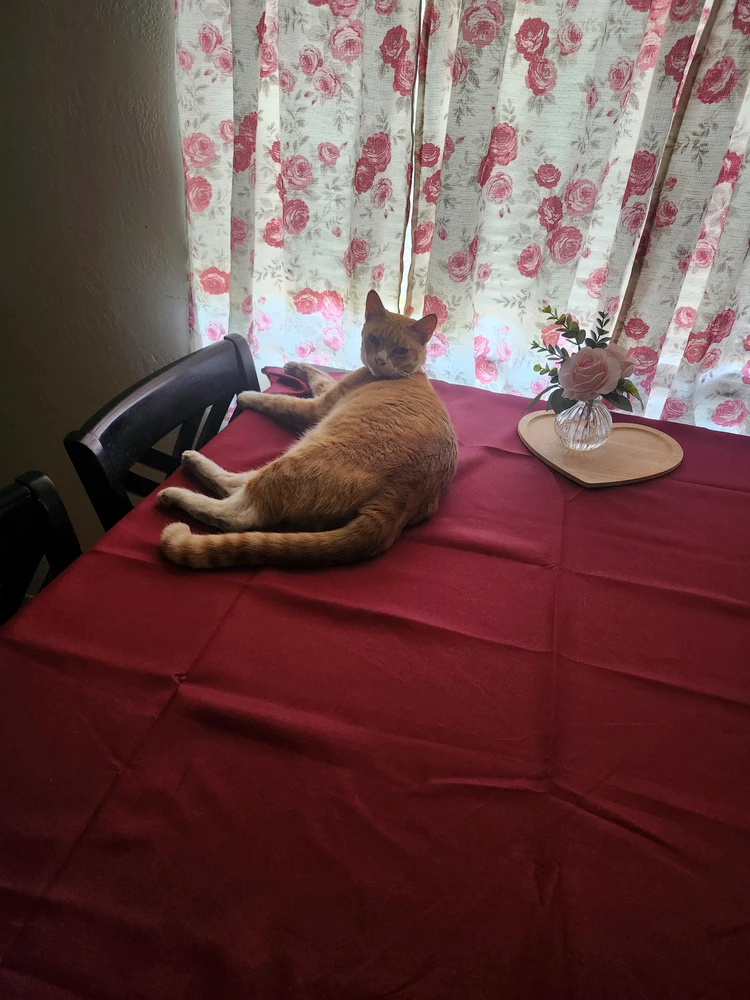 GIF uploaded by Adriii