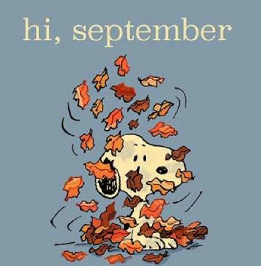 GIF uploaded by Saff