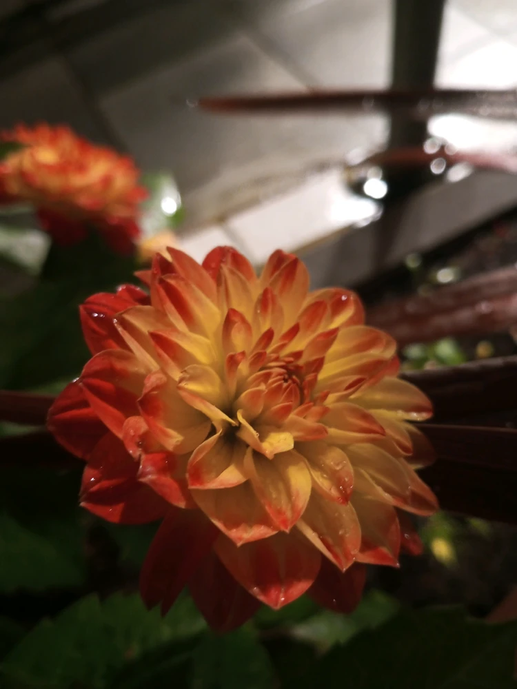GIF uploaded by Ven Ven
