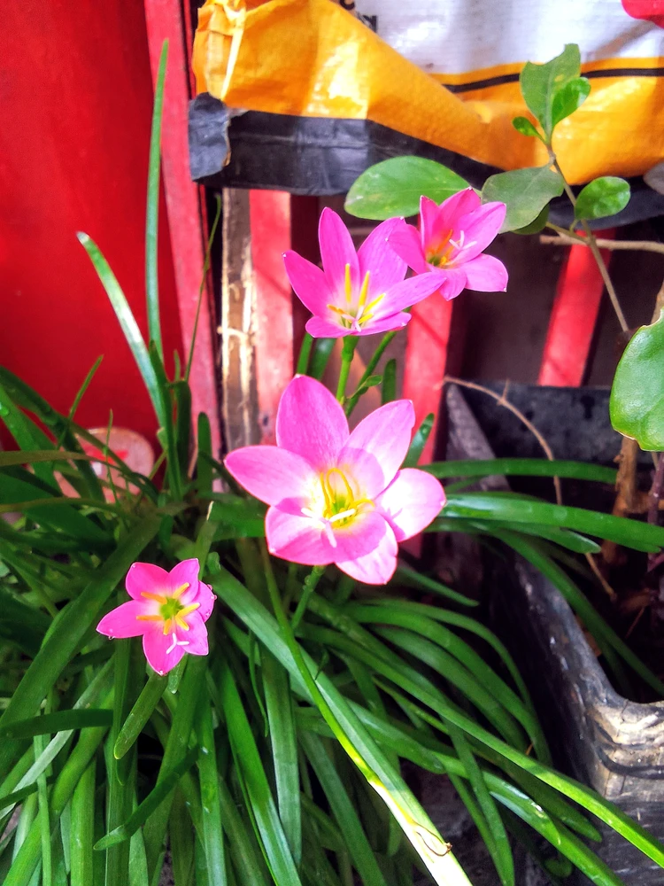 GIF uploaded by Ari Ellie