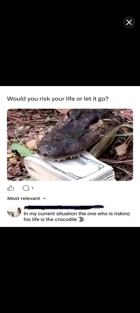 Exi上传的GIF