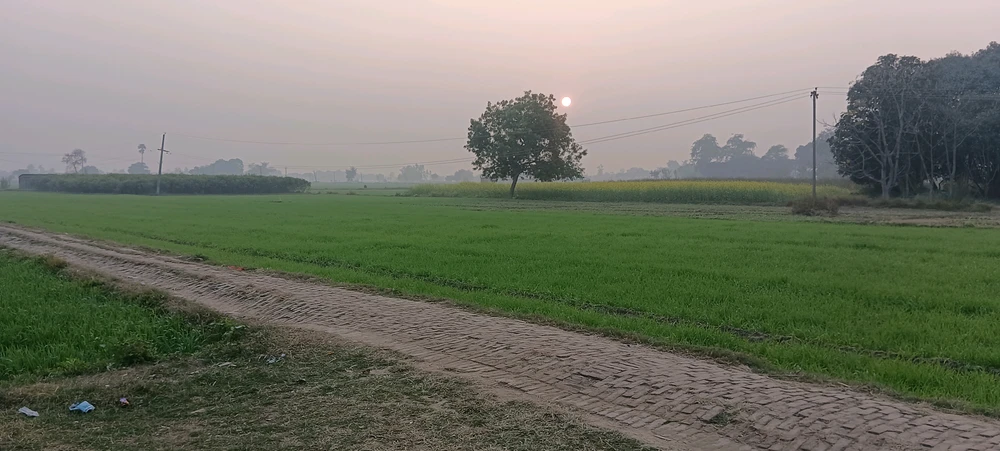 Rishabh上传的GIF