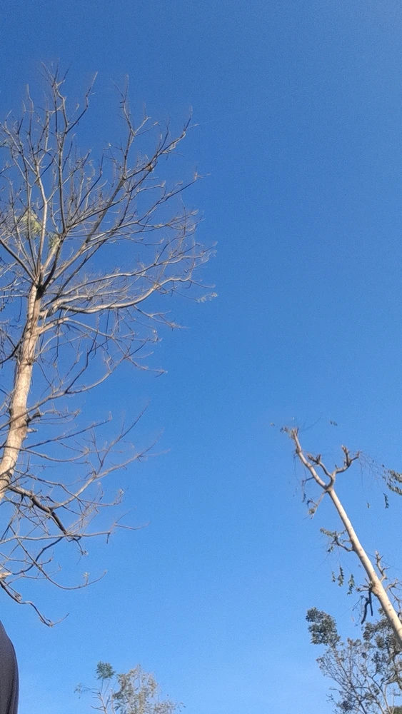 GIF uploaded by Ttyabdullah