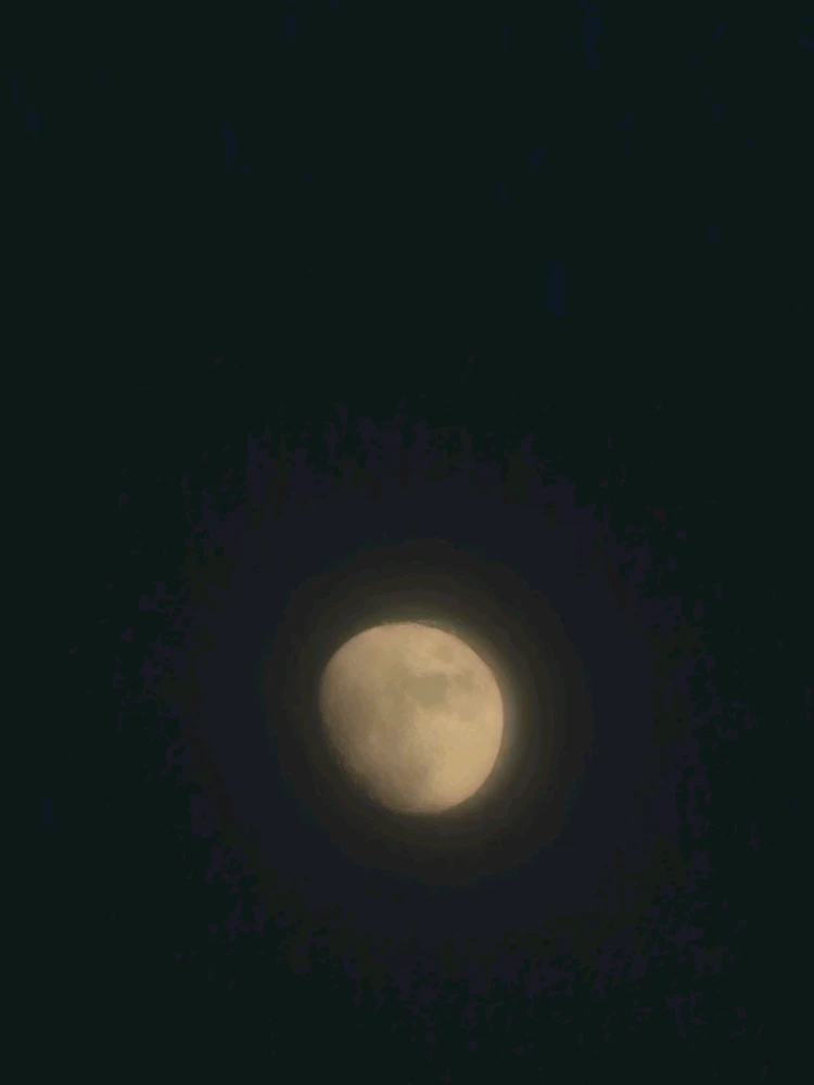由Salliee上传的图片