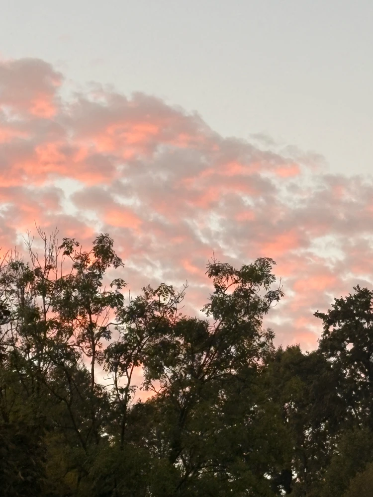 GIF uploaded by ℳℴ𝓇𝓃𝒾𝓃ℊ𝓈𝓉𝒶𝓇