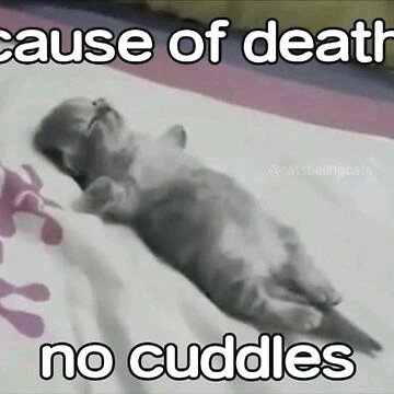GIF uploaded by Grim Reaper