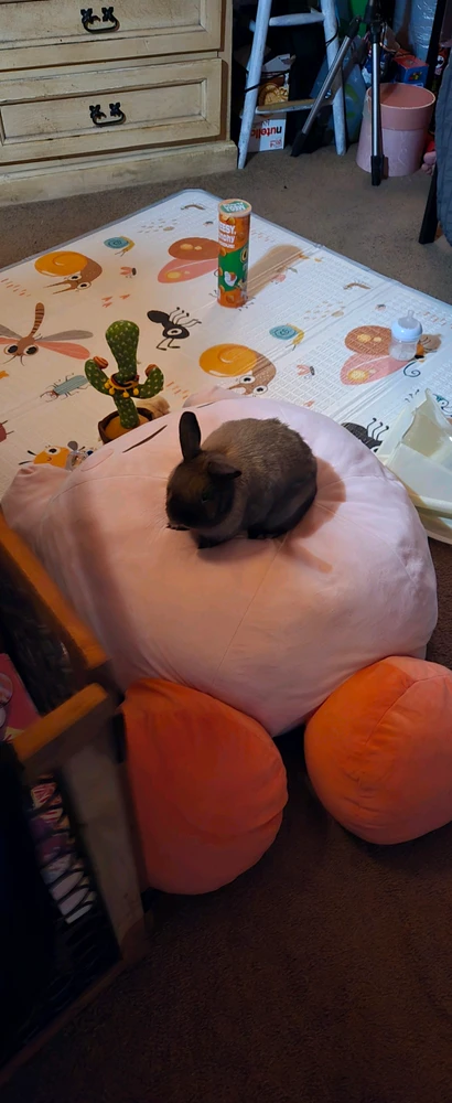 GIF uploaded by joshua