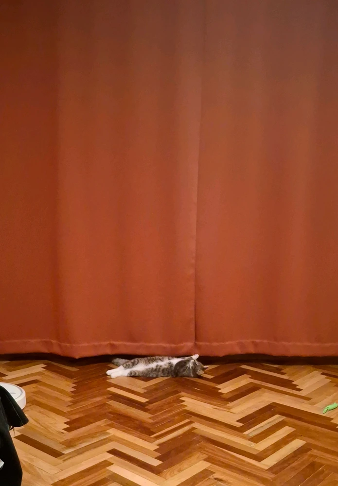 Image uploaded by Eugenia