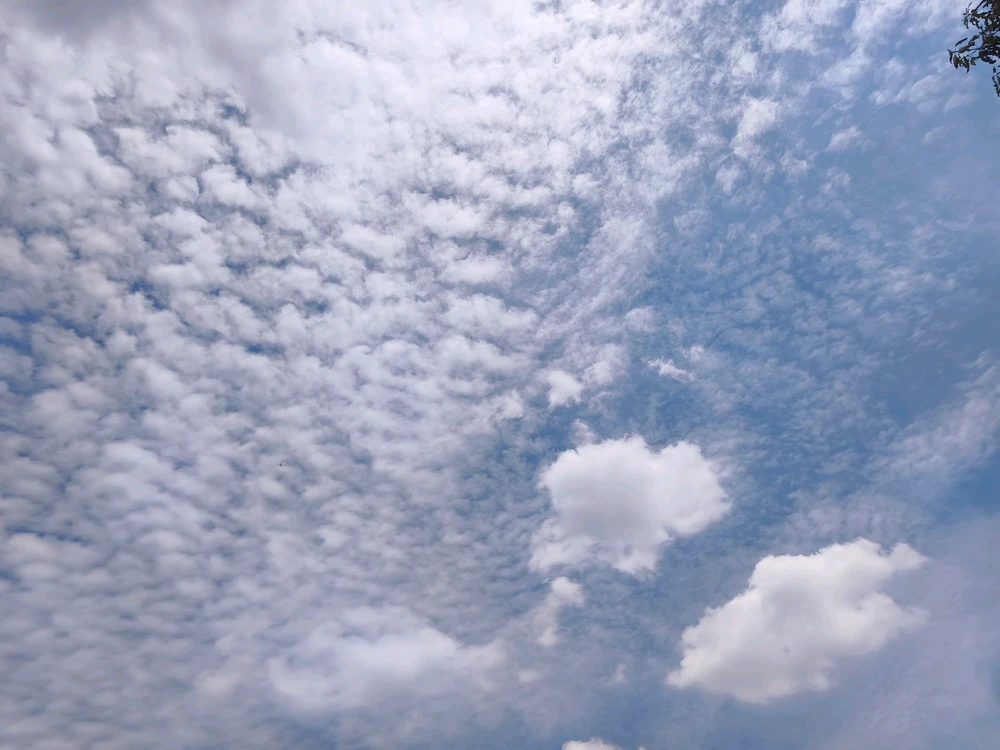 GIF uploaded by Kan Unique(⁠ ⁠ꈍ⁠ᴗ⁠ꈍ⁠)カンイヤー