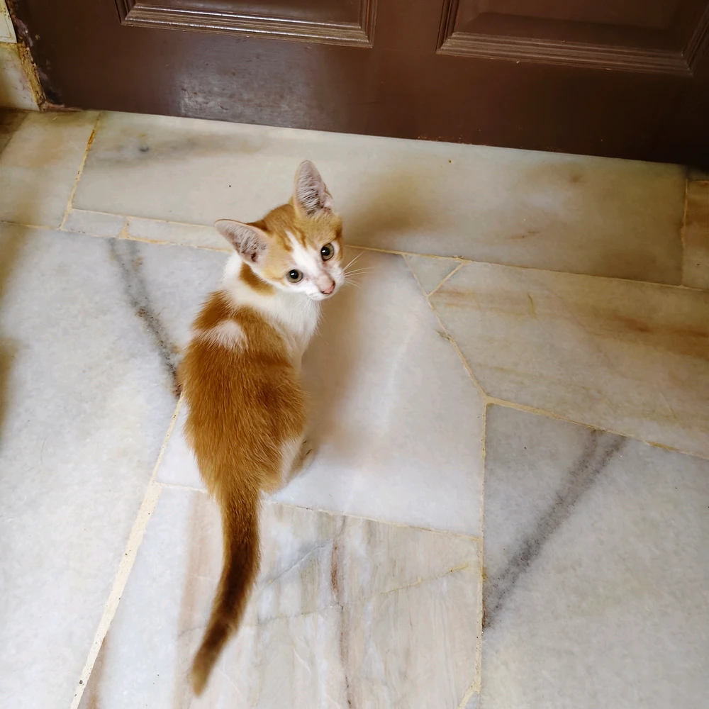 Image uploaded by Sylris