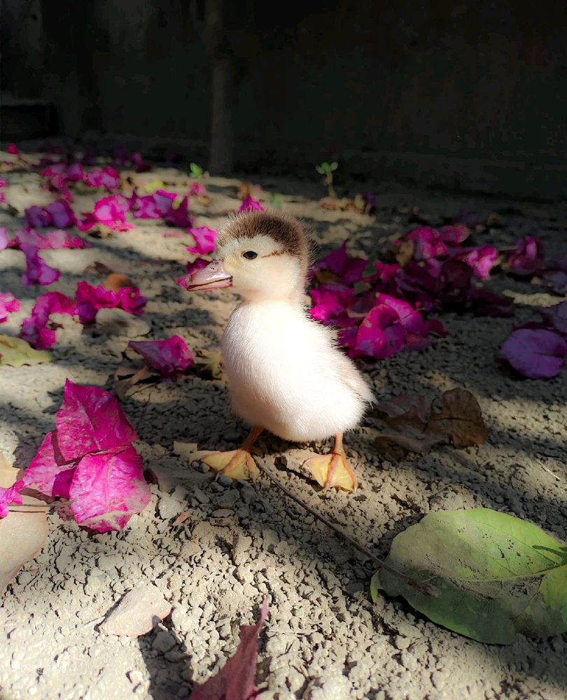 GIF uploaded by Tanwi
