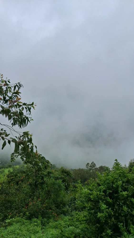 GIF uploaded by Farooq