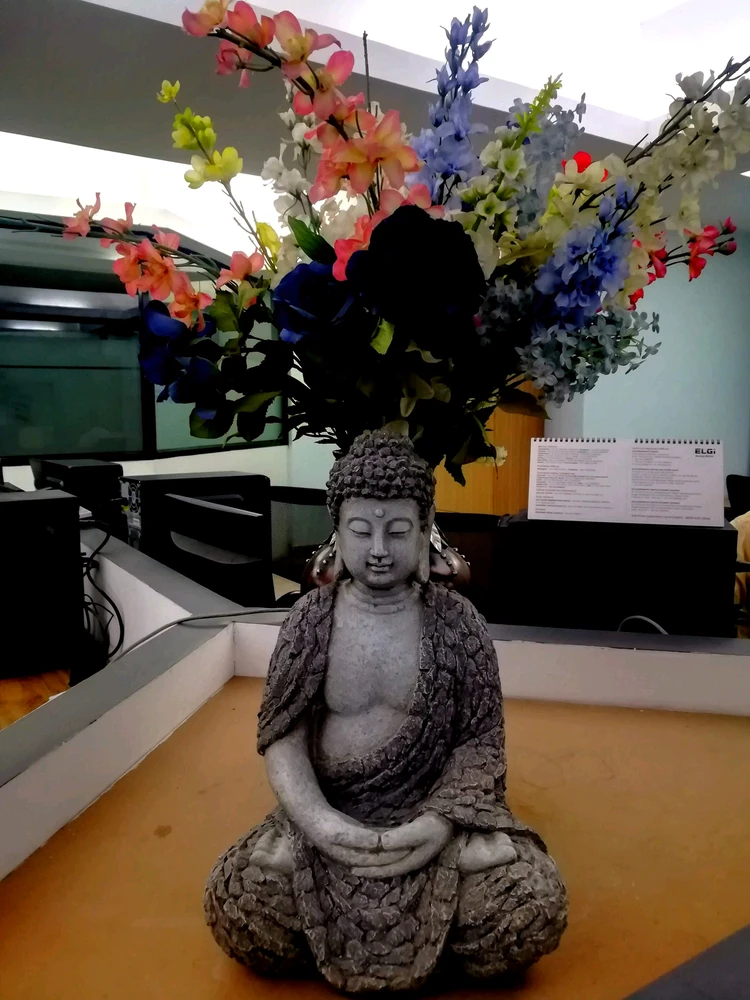 Yogi上传的GIF