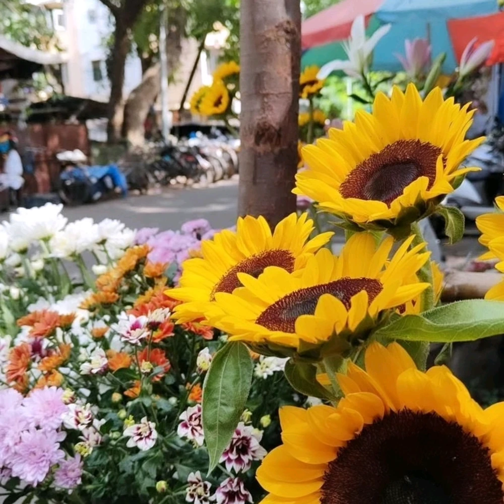 Image uploaded by Ankit Kumar