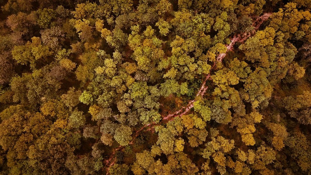 Emre 上傳的 GIF