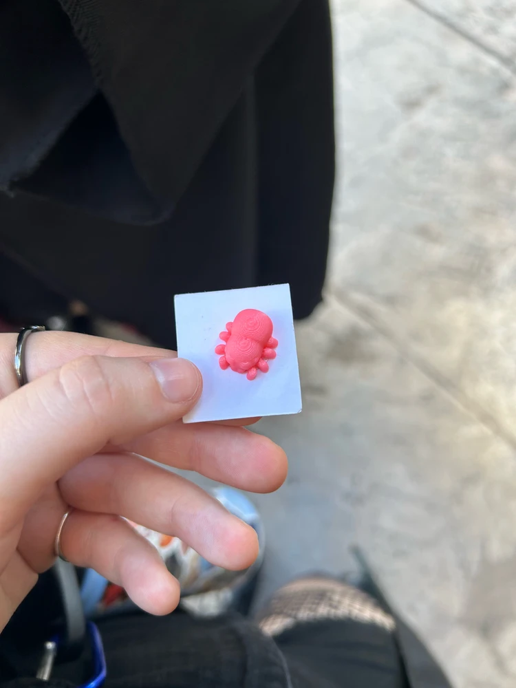 Nikki上傳的圖片