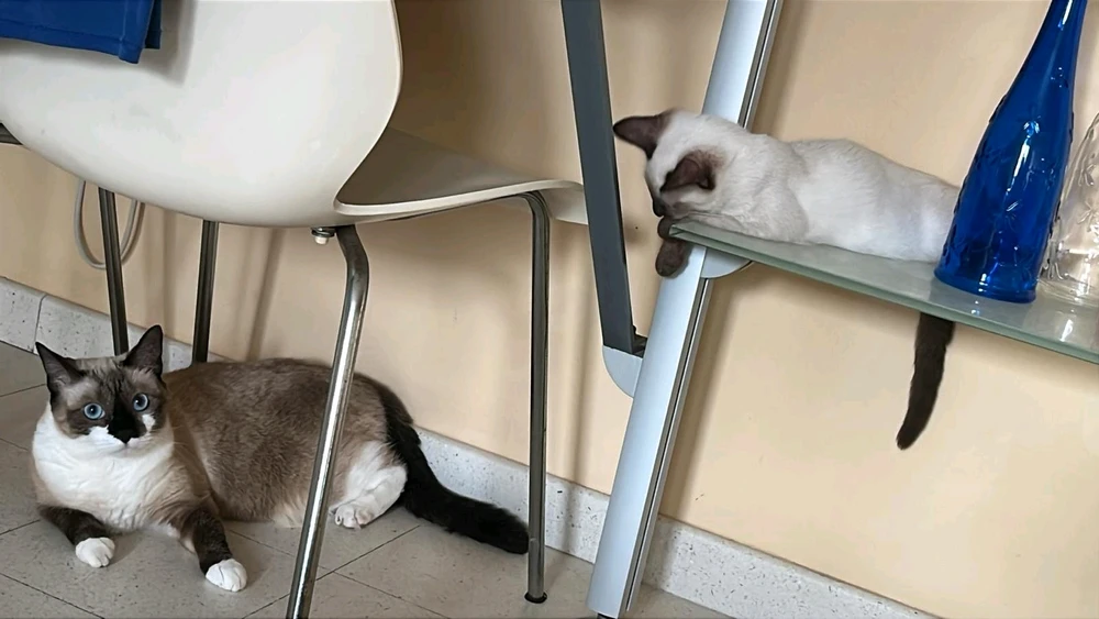 GIF uploaded by ThreeNPlusOne