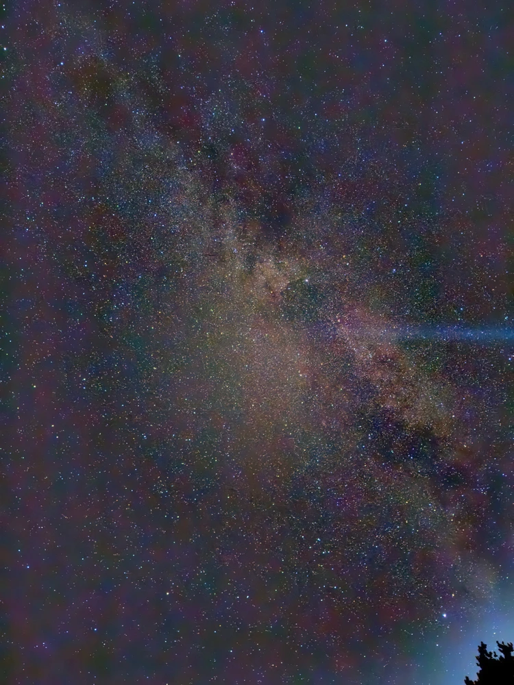 GIF yakaiswa naDan