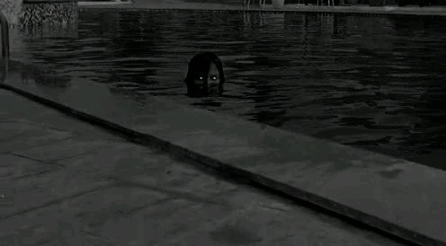 Hana ਵੱਲੋਂ ਅੱਪਲੋਡ ਕੀਤਾ GIF