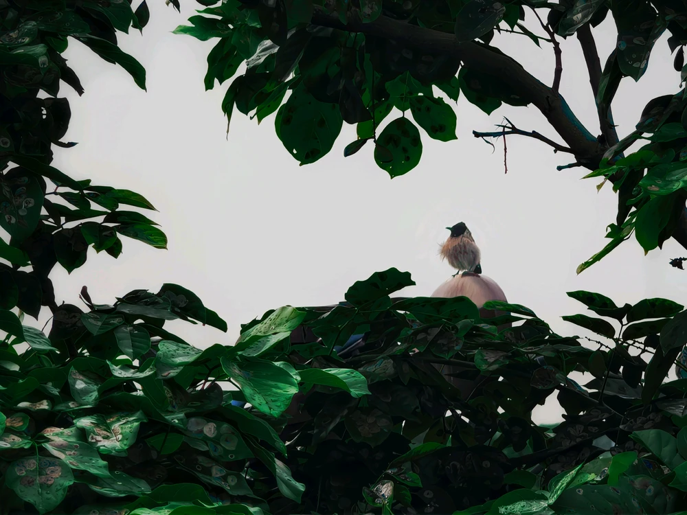 GIF uploaded by Aditya Kumar