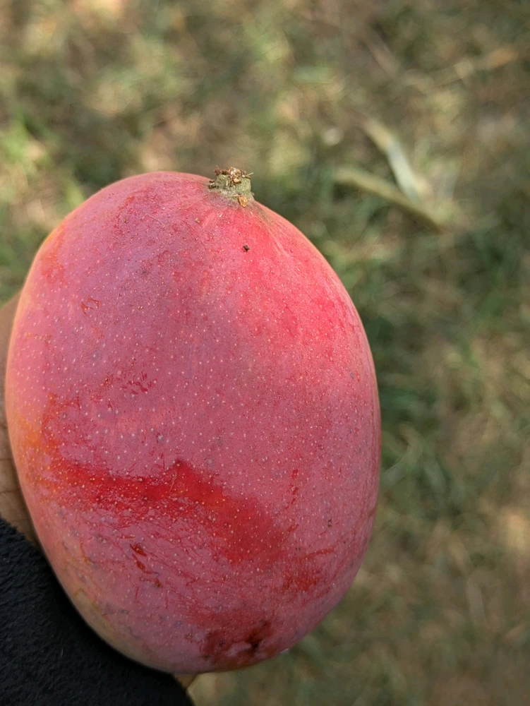 GIF uploaded by Amla