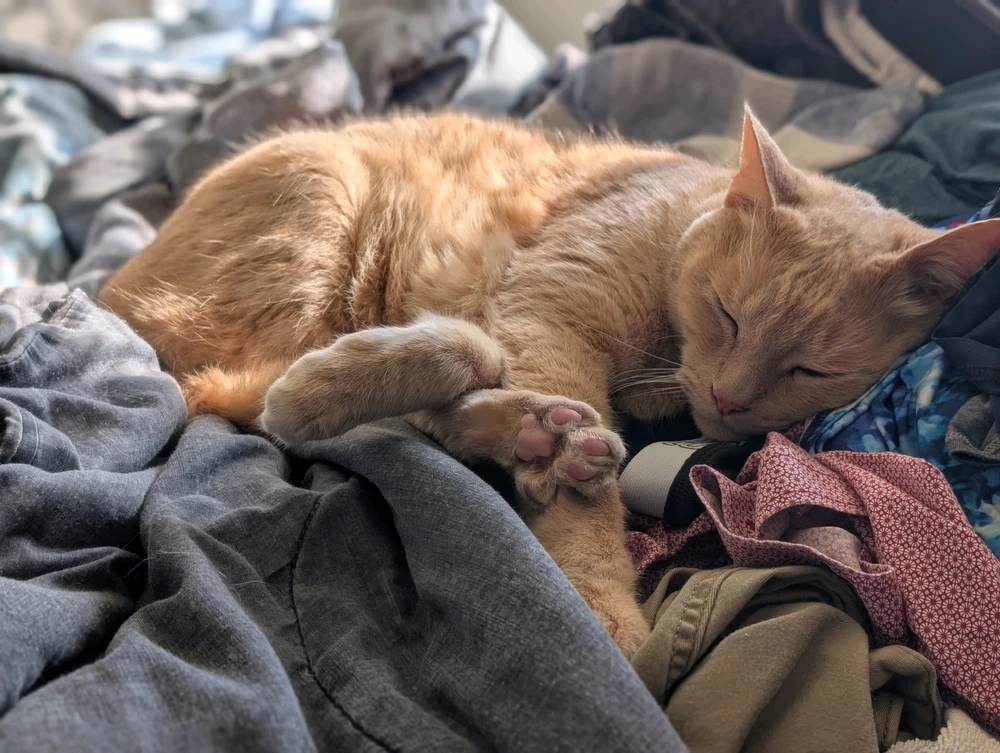 GIF uploaded by Luke
