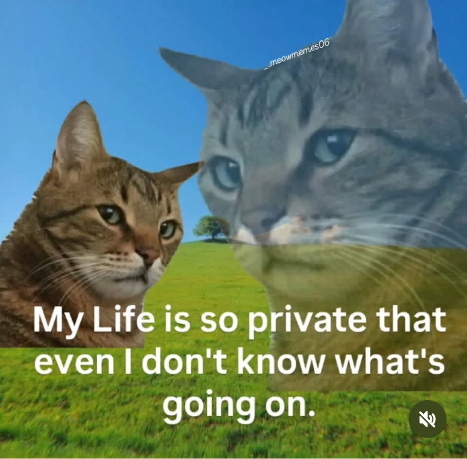 GIF uploaded by Sunn,