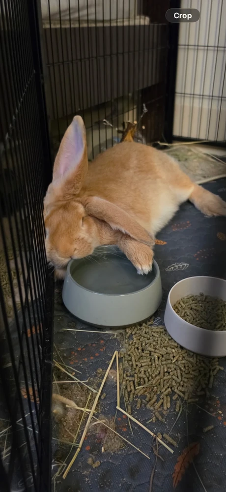 John上传的GIF