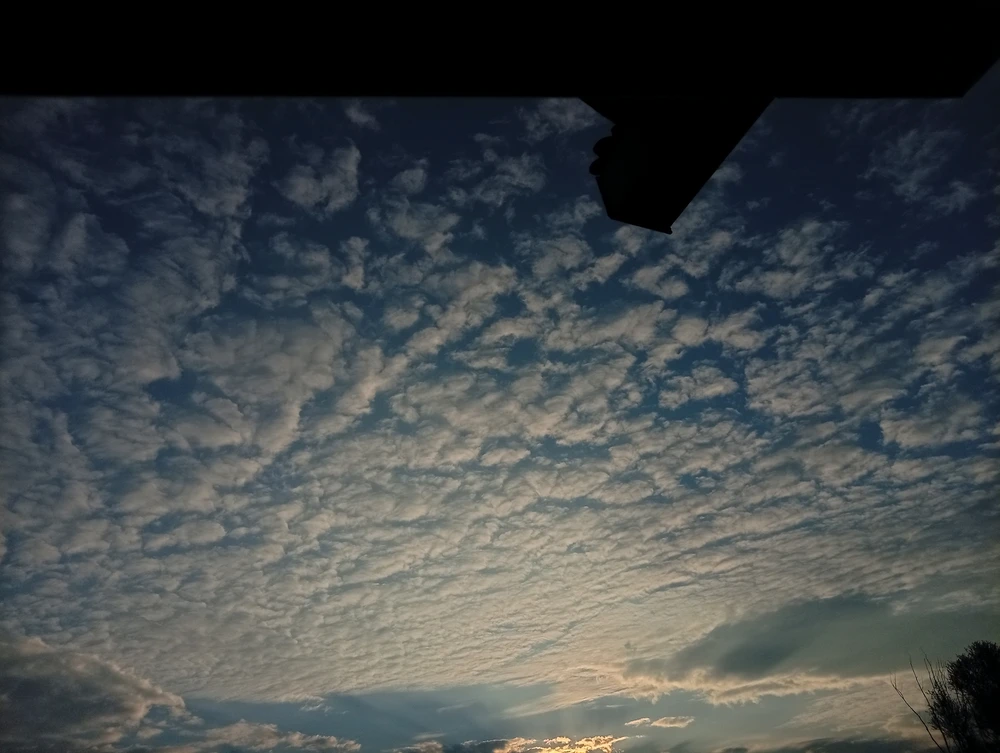 Kas 上傳的 GIF