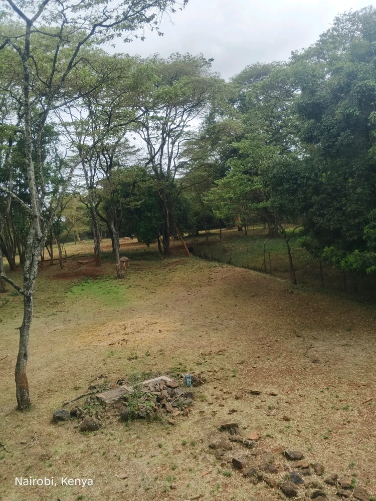Nairobi adventures