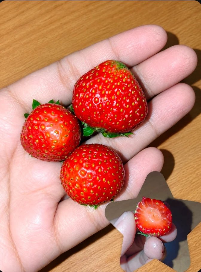 Wina Septiani 上傳的 GIF