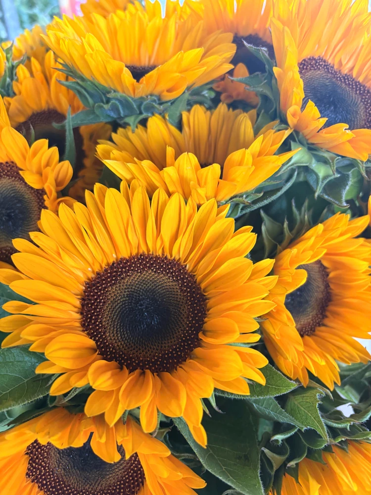 GIF uploaded by ℳℴ𝓇𝓃𝒾𝓃ℊ𝓈𝓉𝒶𝓇