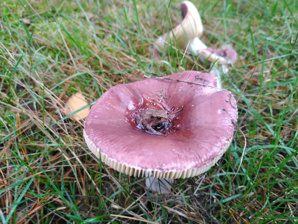 GIF uploaded by Stijn