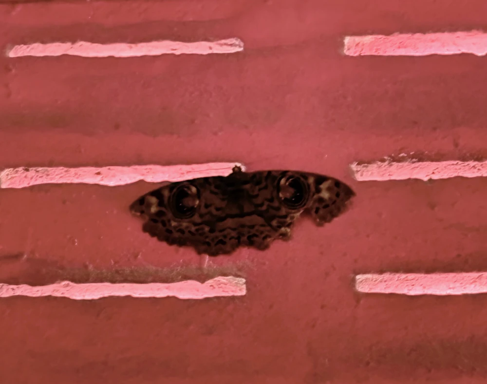 GIF uploaded by Aly