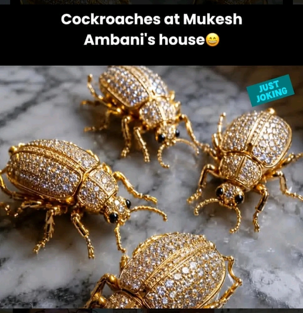 Laks Rajput上传的GIF