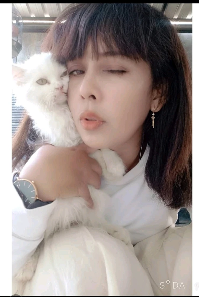Widi上传的GIF