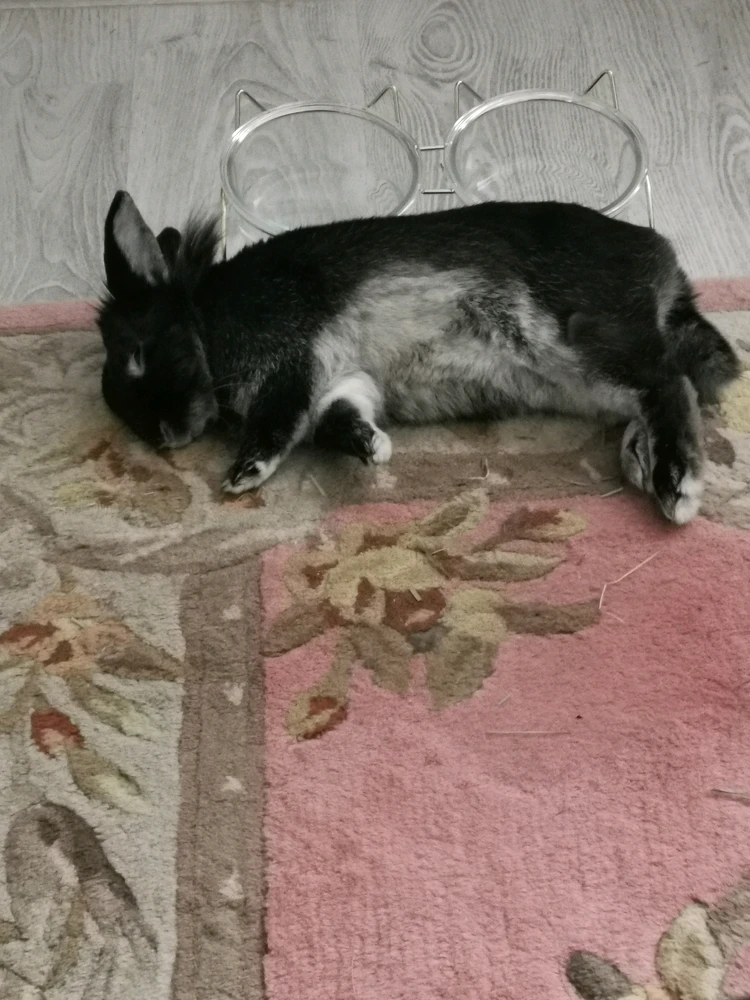 由Fabiola上传的图片