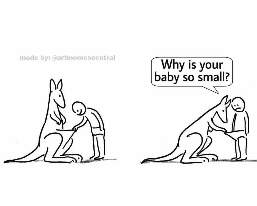 GIF uploaded by Raspberry cheesecake