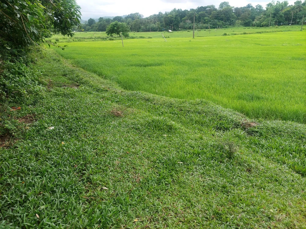 Bhing上传的GIF