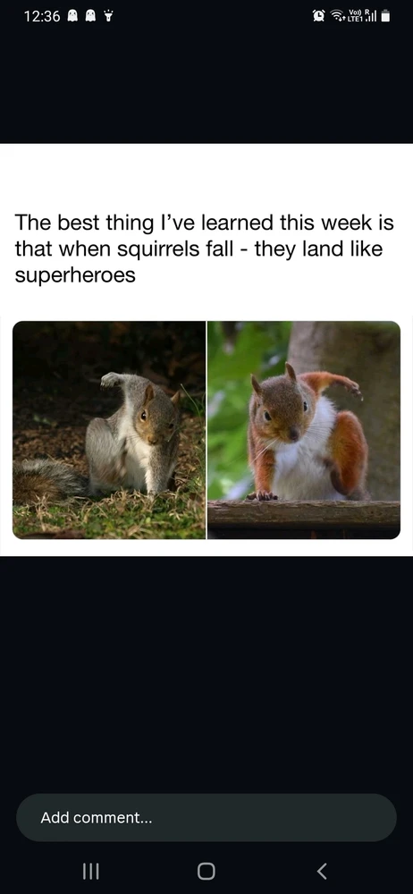 GIF uploaded by DP